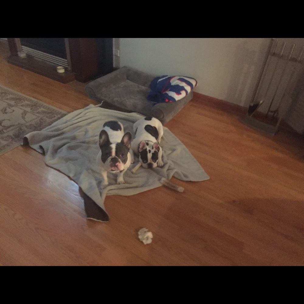 Meet your Posher, Bita